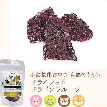 小動物用おやつ 自然のうまみ ドライレッドドラゴンフルーツ