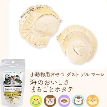 小動物用おやつ グスト デル マーレ 海のおいしさ まるごとホタテ