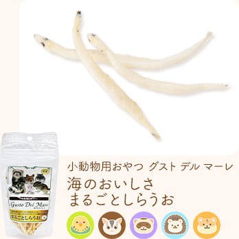 小動物用おやつ グスト デル マーレ 海のおいしさ まるごとしらうお