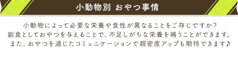 小動物別 おやつ事情