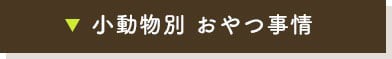 小動物別 おやつ事情