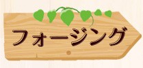 フォージング