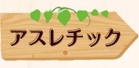 アスレチック