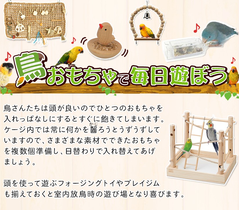 鳥おもちゃで毎日遊ぼう