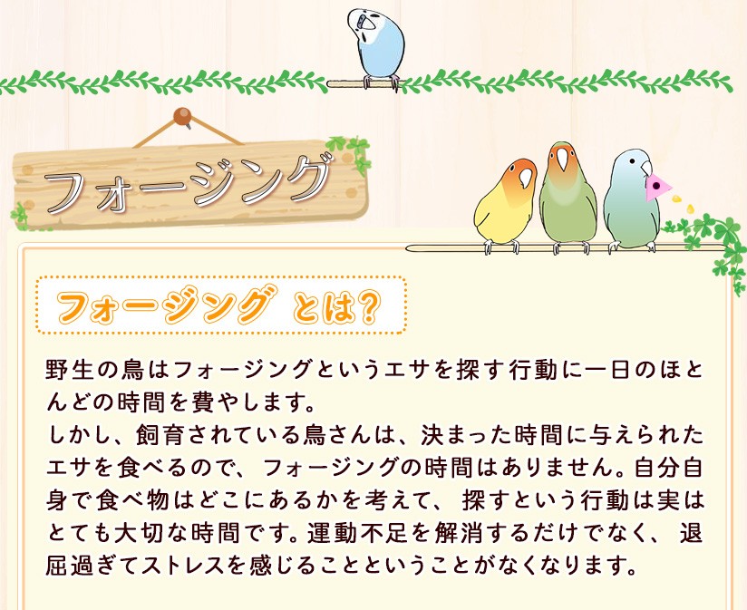 フォージング