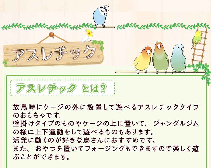 アスレチック