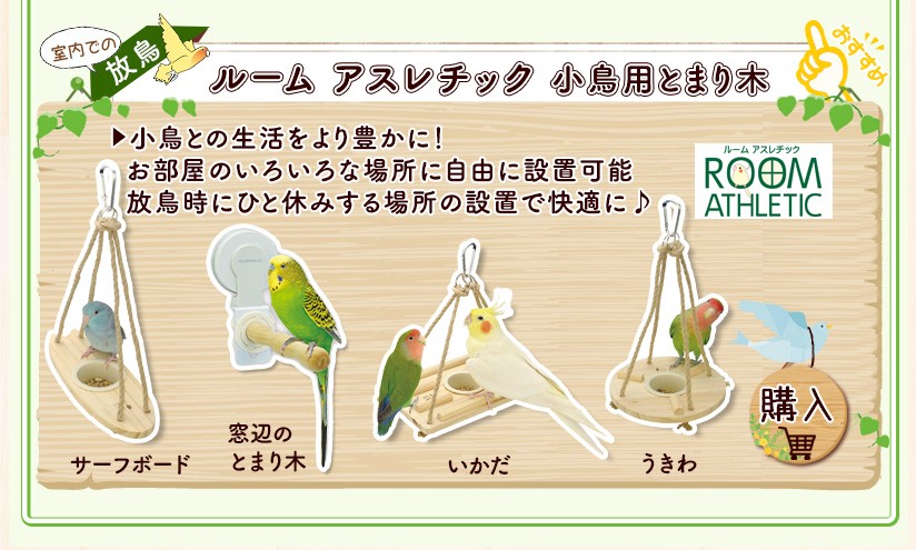 ルームアスレチック