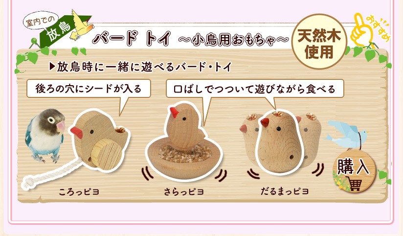 バードトイ