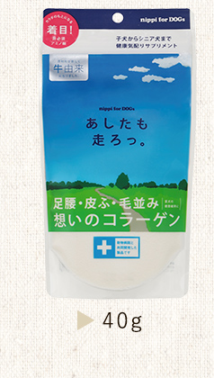 あしたも走ろっ。40g