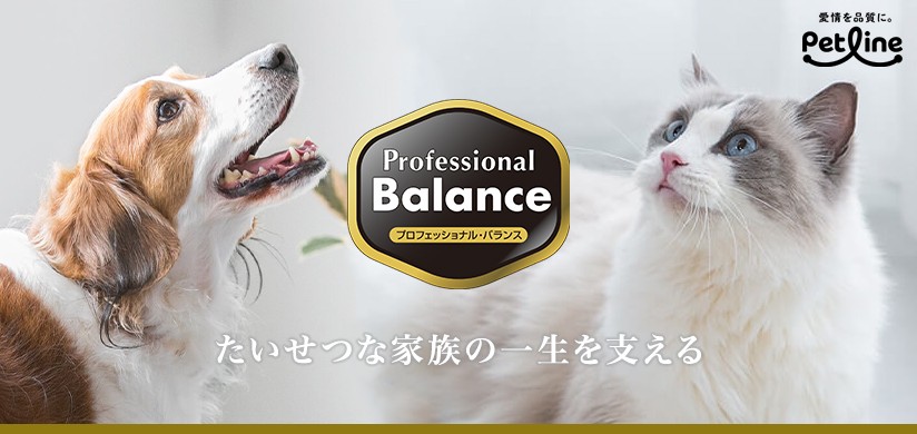 プロフェッショナル・バランス--たいせつな家族の一生を支える--