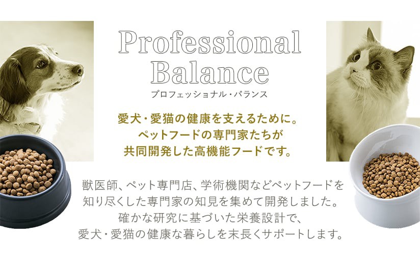 プロフェッショナル・バランスとは