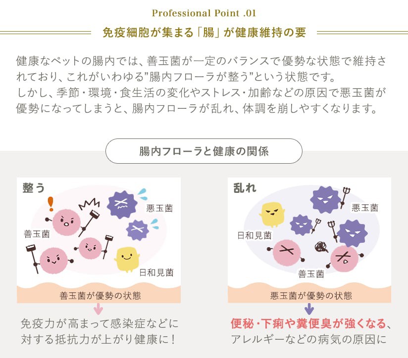 ポイント1 免疫細胞が集まる「腸」が健康維持の要