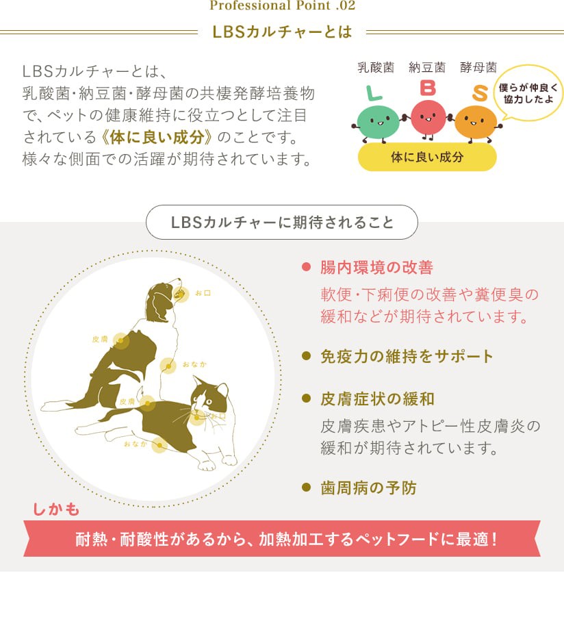 ポイント2 LBSカルチャーとは