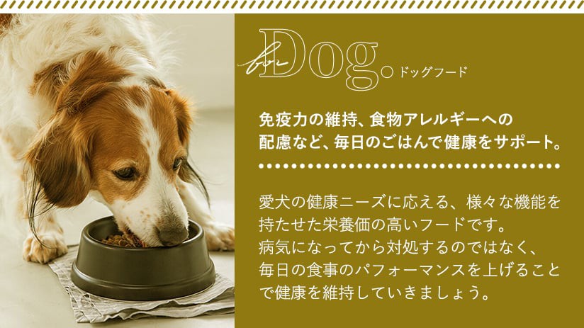 ドッグフード