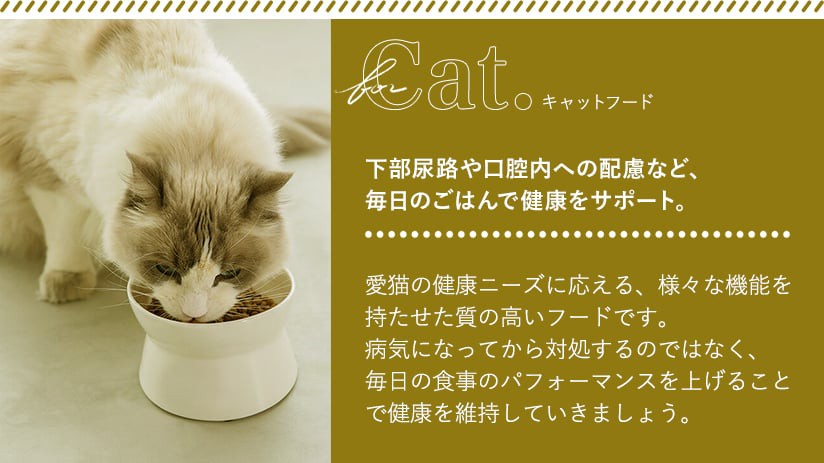 キャットフード