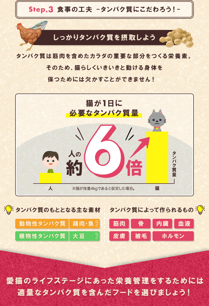 Step.3 食事の工夫-タンパク質にこだわろう！-