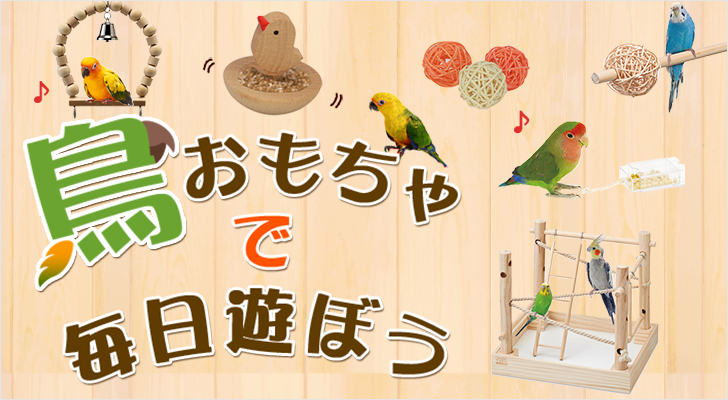 ����������Ŗ����V�ڂ�