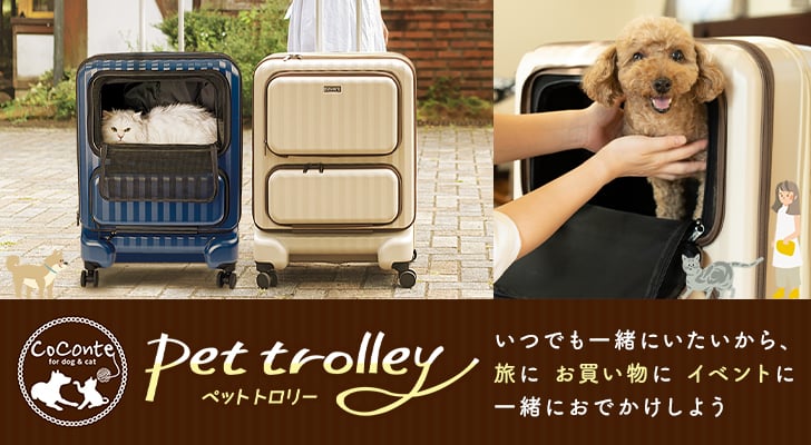 CoConte�y�b�g�g�����[