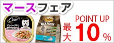 マースフェア