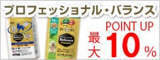プロフェッショナルバランスフェア