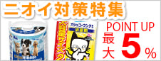 jIC΍W