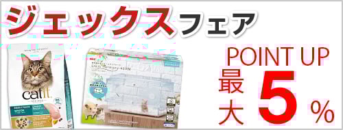 �W�F�b�N�X�t�F�A