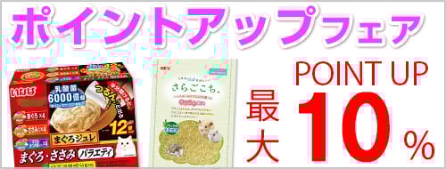 �|�C���g�A�b�v�t�F�A