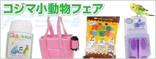 �R�W�}�������t�F�A