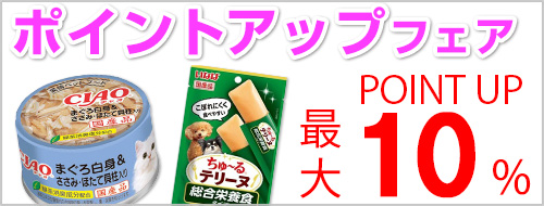 ポイントアップフェア