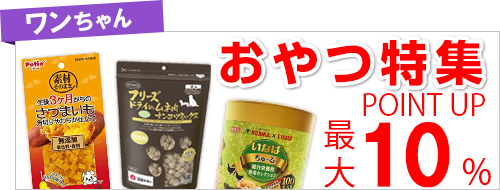 ワンちゃんのおやつ特集