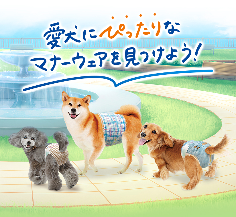 �����ɂ҂�����ȃ}�i�[�E�F�A�������悤�I