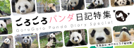 �p���_���L