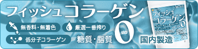 �t�B�b�V���R���[�Q��
