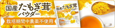 国産たもぎ茸パウダー