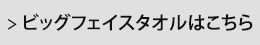 �r�b�O�t�F�C�X�^�I���͂�����