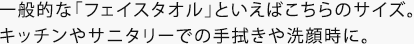 �t�F�C�X�^�I���͂�����