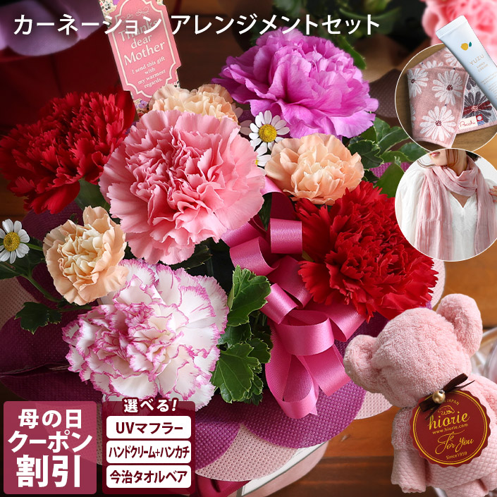 カーネーション アレンジメントセット