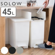 ゴミ箱 45L SOLOW 抗菌加工 分別 ふた付き