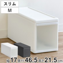 収納ケース スリム M プラスチック 引き出し