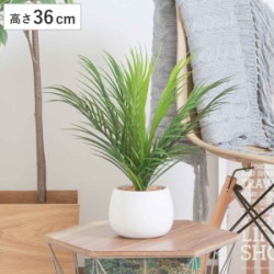 フェイクグリーン ヤシ 高さ36cm セラミックポット