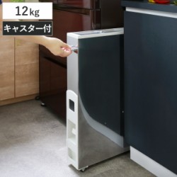 米びつ 10kg用 スリム ライスストッカー ステンレス 12kg
