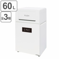 屋外用ゴミ箱 60L 角穴蓋 業務用ダストボックス Bunbetuダストハウス#55