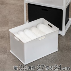 収納ボックス 収納ケース ナチュラ インボックス L プラスチック 日本製
