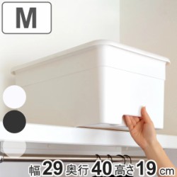 収納ボックス M 幅29×奥行40×高さ19cm オンボックス フタ付き プラスチック 日本製
