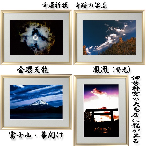 Amazon.co.jp: 秋元 隆良『奇跡の写真 ～鳳凰（発光