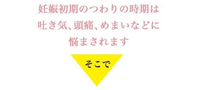 妊娠初期はつわりに悩まされます