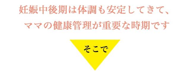 妊娠中後期はママの健康管理が重要な時期です