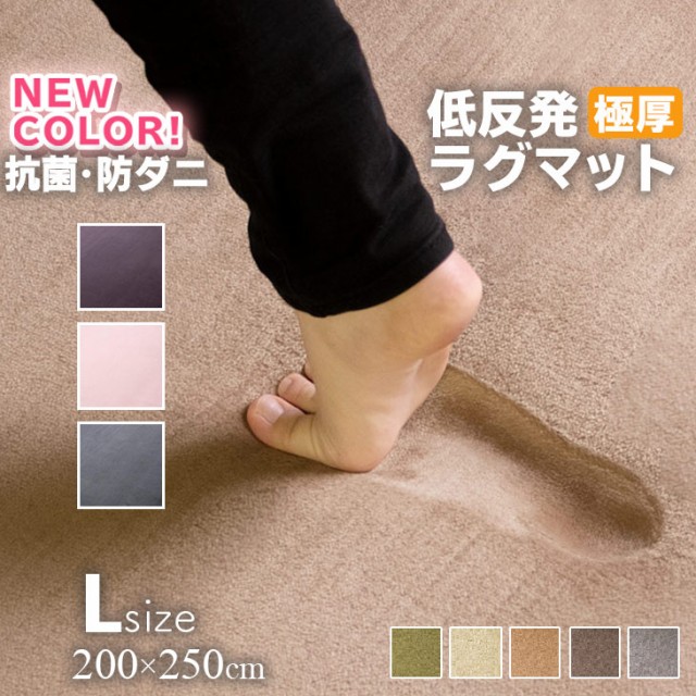 【抗菌 防ダニ】ラグ 低反発 極厚25mm 200×250cm ラグ 厚手 滑り