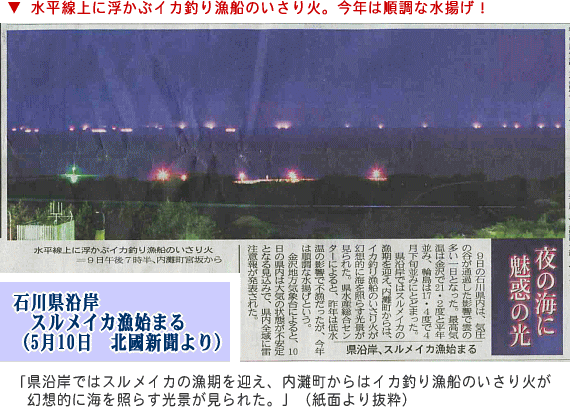水平線に浮かぶイカ釣り漁船のいさり火。今年も順調な水揚げです。