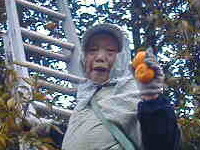 ふさえおばあちゃん